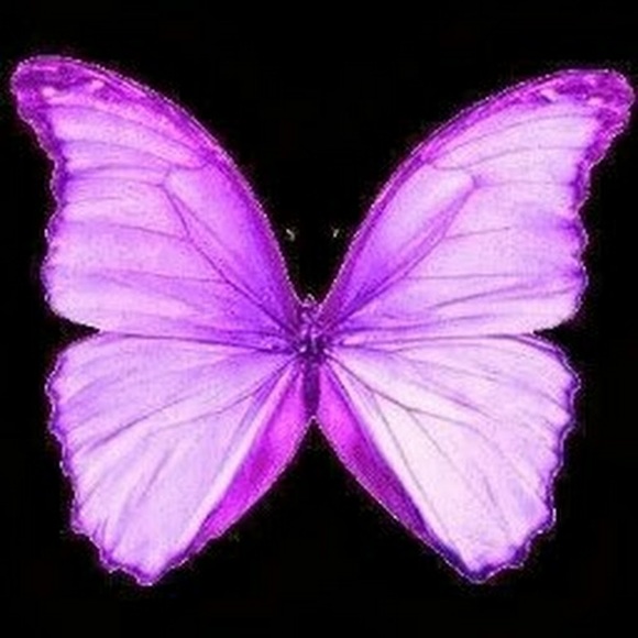 ytrigueno13